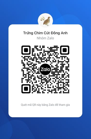 thông tin liên hệ đặt hàng trứng chim cút đông anh
