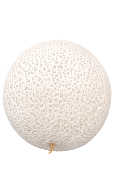 Melon