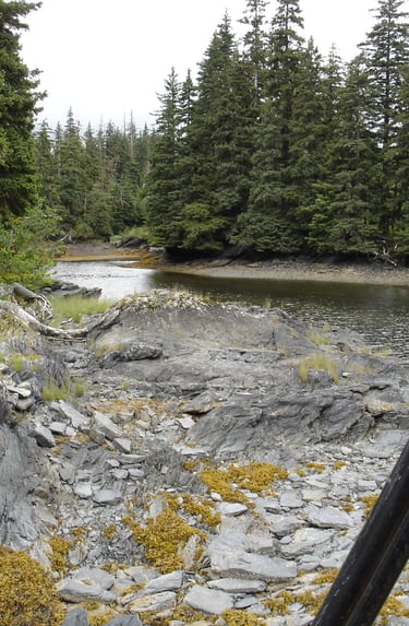 property borders, land surveying, northwest