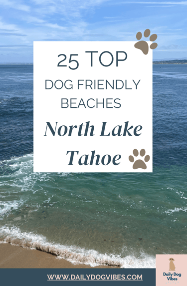 dog friendly travel california