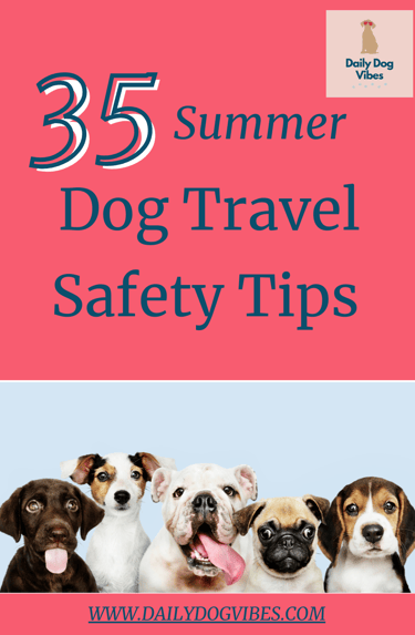 dog friendly travel monterey ca