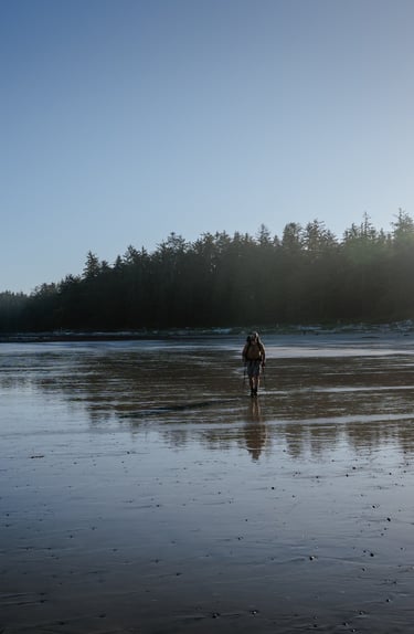 a person walking on a long stretched sandy beach