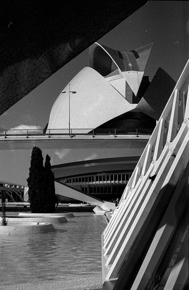 2 clasificado BN febrero 2026