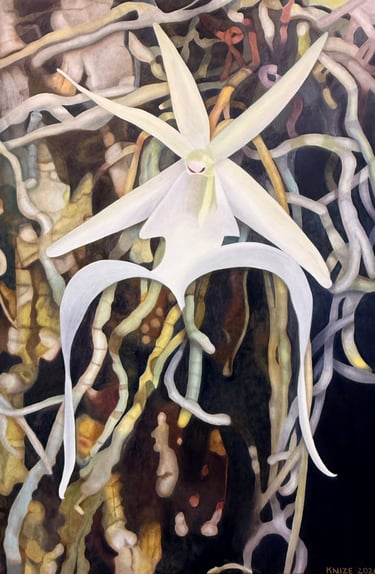 Christine Knize Ghost Orchid High Level Contemporary Botanical Art