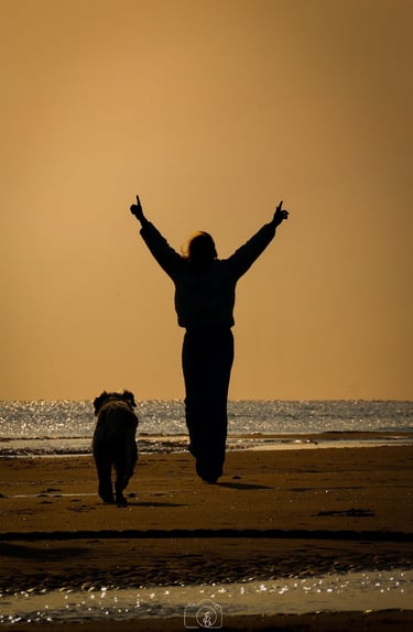 Hondenfotoshoot op het strand