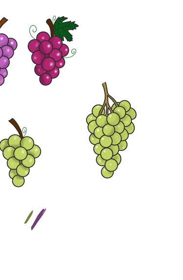 Dessin original de grains de raisins provenant de l'univers de Calnima autrice française indépendant
