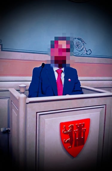 Salah Hassan Al-Saadi، Fredrikstad SV, Fredrikstad Kommune bystyret, Styrer, Styrer, råd og utvalg, Politikk - administrasjon