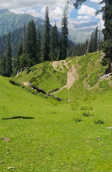 Miranjani peak in summer
