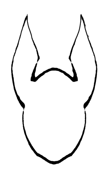 Anubis BioConsulting logo