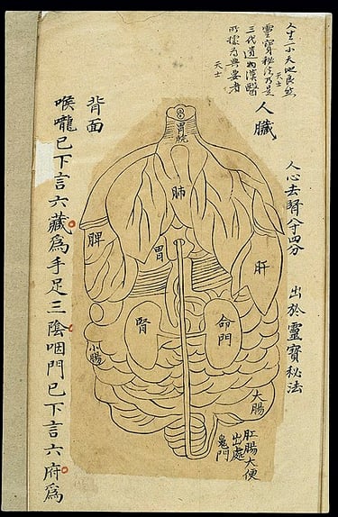 Médecine douce gresivaudan 38
