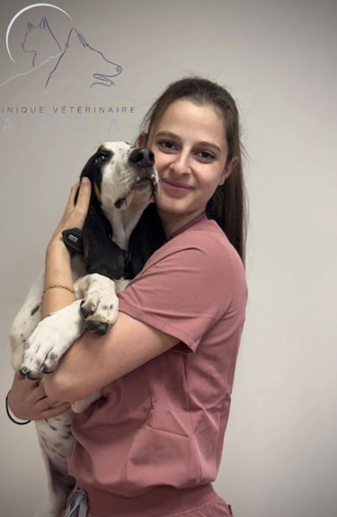 Assistante vétérinaire clinique vétérinaire alpesia à Varces