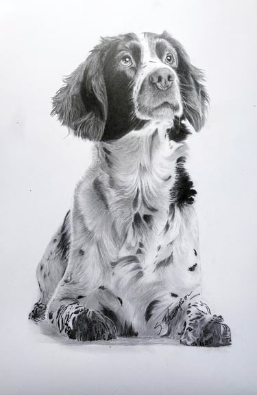a dog sitting on a white background with a black and white drawing of a dog