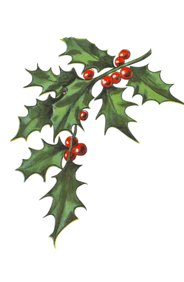 a green rustic christmas holly decoration that is hanging in a farmhouse