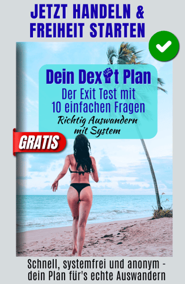 dexit online workbook exit reifenprüfung buch
