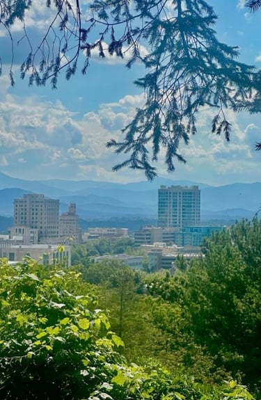 Downtown Asheville in the distance with trees and bushes, representing commercial locksmith services