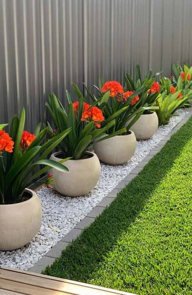 bahçe peyzaj düzenlemesi sonrası estetik dış mekan detayı