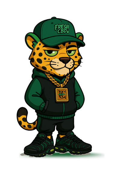 Mascota leopardo Fresh CBD de pie con gorra y sudadera negra