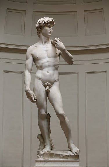 Michelangelo, David, 1501–1504