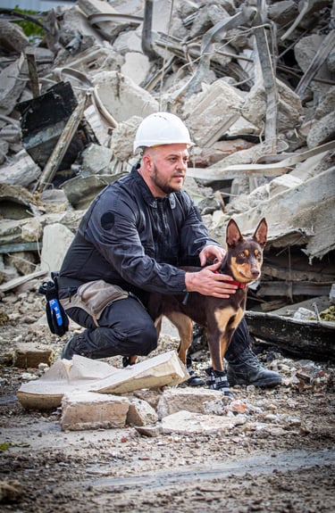Un homme et son Kelpie australien dans des décombres