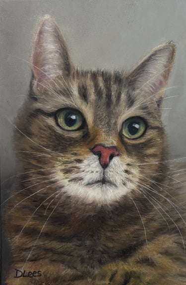 Soft pastel drawing of a Tabby cat 
