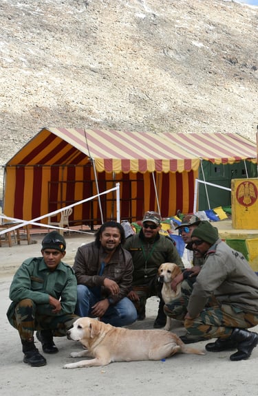 Dog Boarding, Dog Boarding near me, Pet Boarding, Pet Boarding near me, Dog Care, Happy Pettings