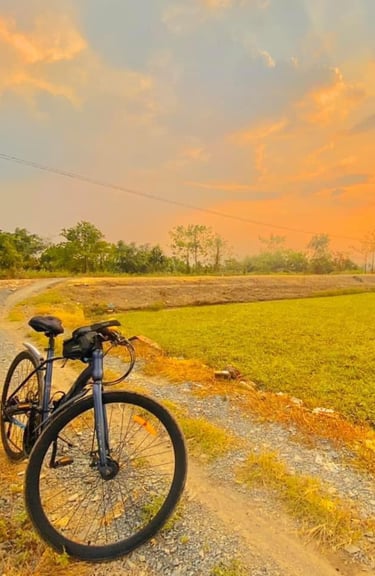 Bicycle path through morning glory fields at sunrise near Saigon Garden Homestay.