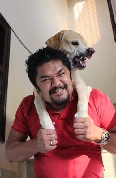 Dog Boarding, Dog Boarding near me, Pet Boarding, Pet Boarding near me, Dog Care, Happy Pettings