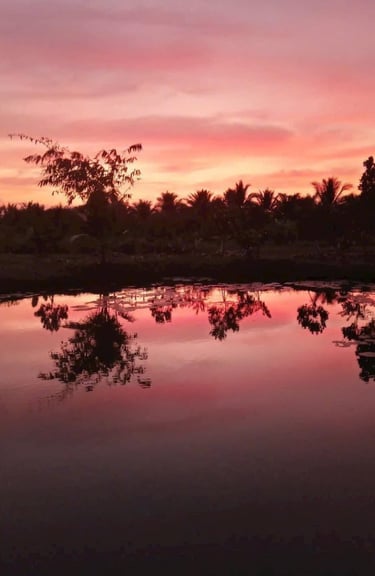 Peaceful sunset reflections on a pond near Saigon Garden Homestay.
