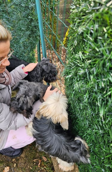 Les Diamants Noirs jardinent