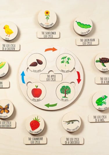 a clock with a variety of different types of food