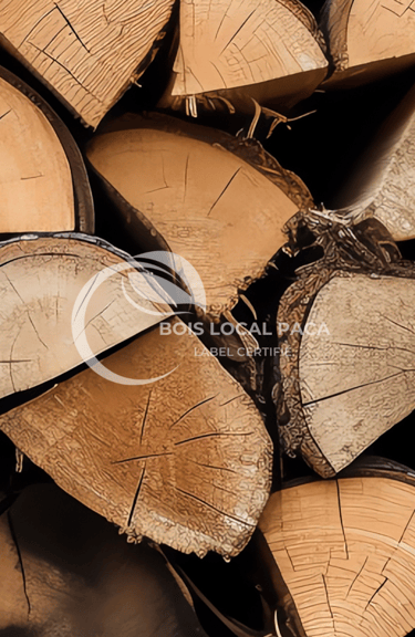 un tas de bûches empilées