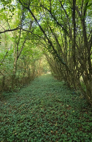 jardin parc domaine du clody