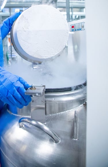 Vaporizing liquid nitrogen from the Biobank. CTIBIOBANK. Tissue sourcing.