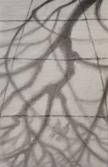 This is a small graphite drawing representing the shadow of a tree upon whose branches sit two birds