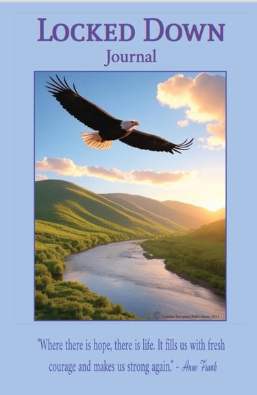 Eagle flying over river lock down journal for inmates
