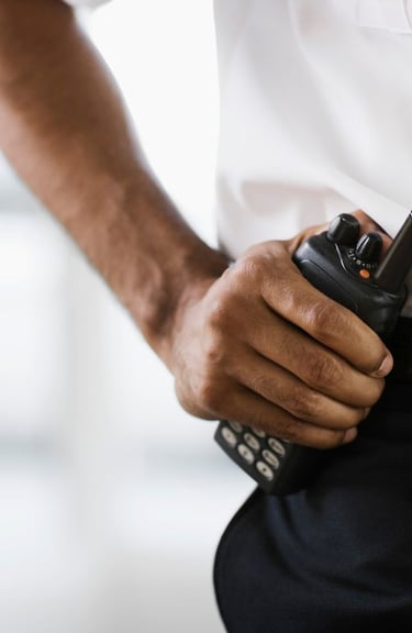 servicios de seguridad