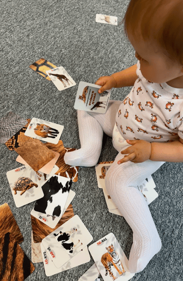 Lavinimo kortelės gyvūnai ir jų kailis