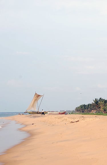 negombo beach