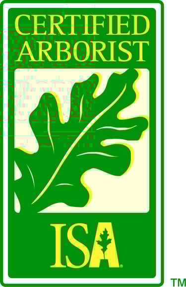 Joutras Tree Care ISA certified arborist
