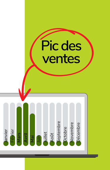Diagramme des ventes sur l'année