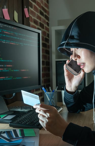 Fraud Awareness and Risk Management in the Public Sector