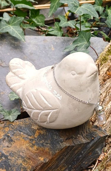 oiseau pour porter message personne disparu