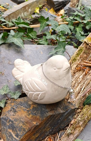 oiseau pour porter message personne disparu