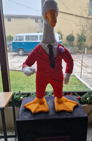 Mascotte Fasoli Gino, Apollo