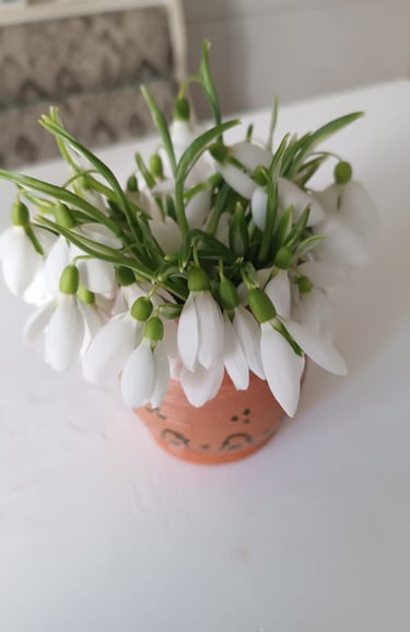 a potted flower on a table