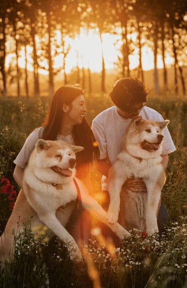 RAGAZZO E RAGAZZA AL TRAMONTO CON I DUE CANI