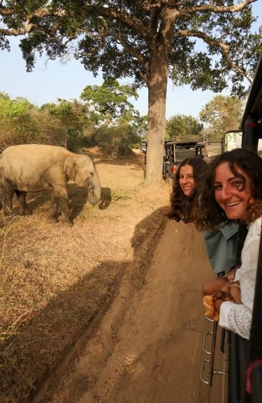 yala-national-park-sorelle