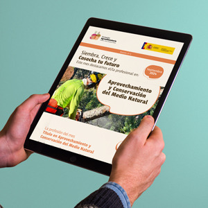 Boletin informativo de BM Genesis