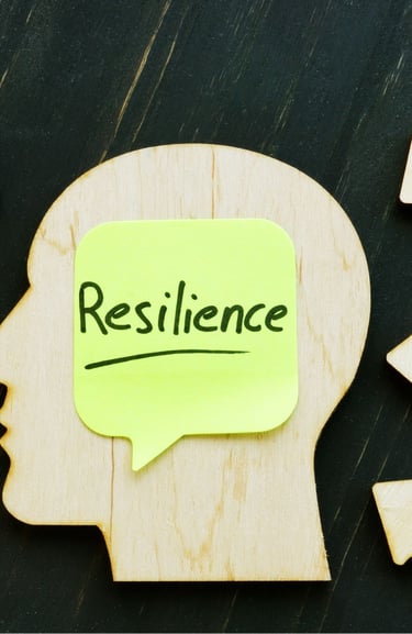 Building Resilience: Managing Stress in Professional Environments