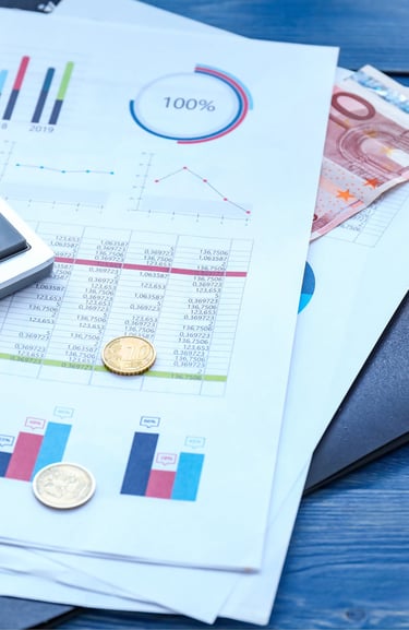 Financial Control in Cash Management: Ensuring Accountability and Efficiency